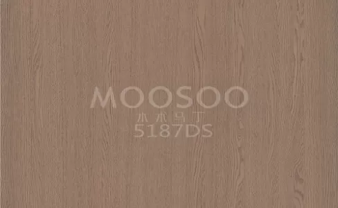 Panneau mural rustique en orme blanc : l’élégance intemporelle rencontre la fonctionnalité moderne