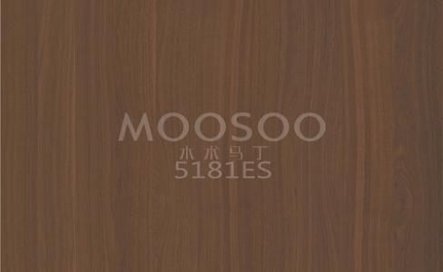 Panneaux brossés en acier à l’orme blanc haute performance pour les applications intérieures