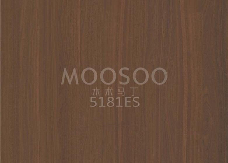 Panneaux brossés en acier à l’orme blanc haute performance pour les applications intérieures