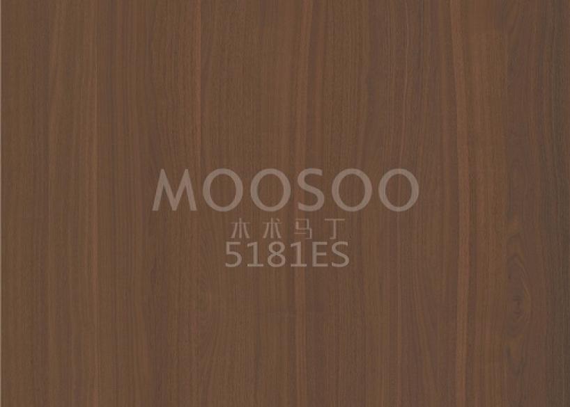 Panneaux brossés en acier à l’orme blanc haute performance pour les applications intérieures